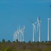 BNDES lança edital para impulsionar desenvolvimento sustentável