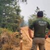 Operação em Rondônia vai reforçar segurança na Terra Uru-Eu-Wau-Wau