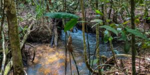 disponibilidade-de-agua-renovavel-no-mundo-caiu-7%-em-10-anos