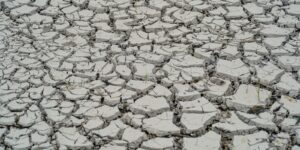estiagem:-quinze-cidades-tem-situacao-de-emergencia-decretada