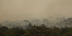 ibama-conta-4,6-mil-brigadistas-para-combater-incendios-neste-ano