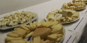 brasil-comeca-a-importar-queijo-mais-barato-apos-acordo-mercosul–ue