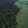 ONU realiza Fórum sobre Florestas em Nova Iorque