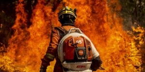 el-nino-leva-stf-a-cobrar-plano-contra-incendios-na-amazonia-legal