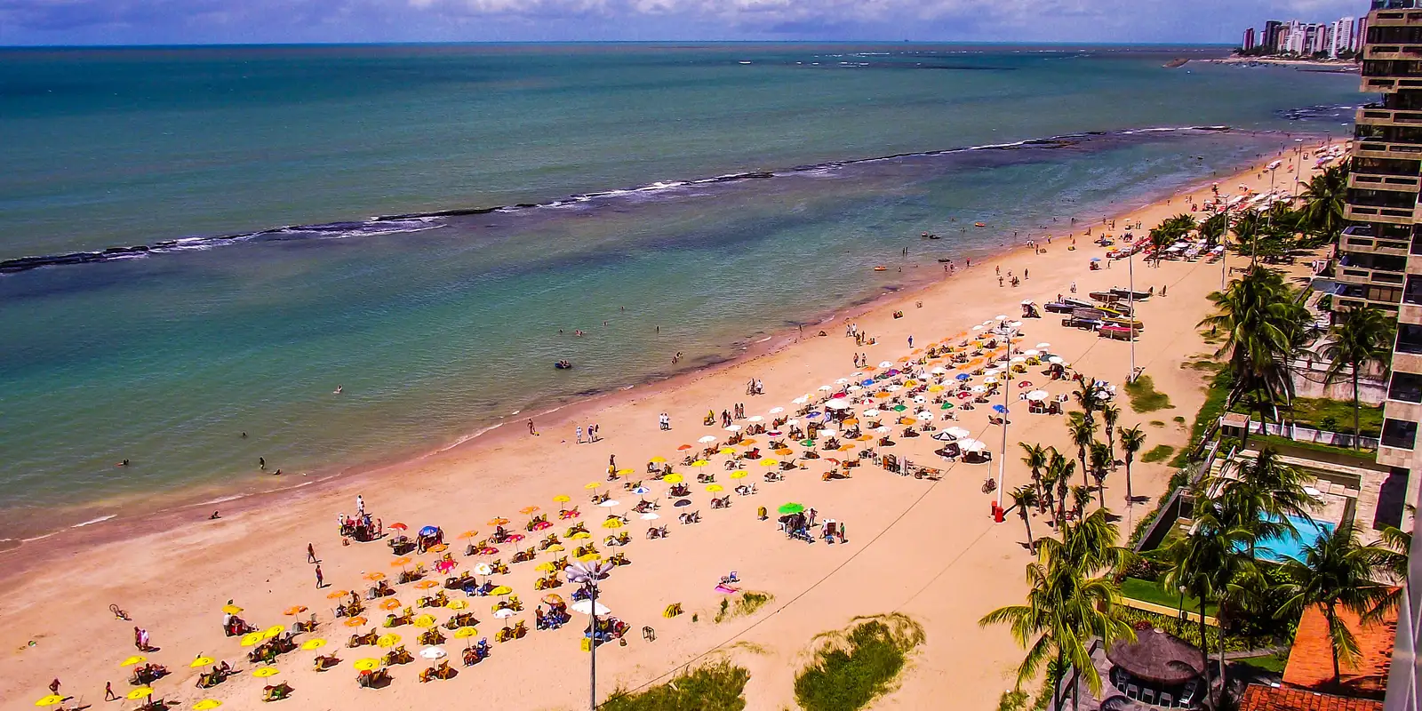 Pernambuco volta a monitorar tubarões na orla após 10 anos