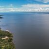 Dia do Meio Ambiente reforça importância de ações sustentáveis no país