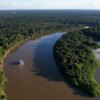 Reino Unido se torna o segundo maior doador do Fundo Amazônia