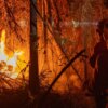 MP libera mais de R$ 337 milhões para combate a incêndios florestais