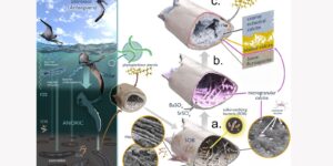 estudo-revela-preservacao-de-tecidos-de-pterossauro-por-113-milhoes
