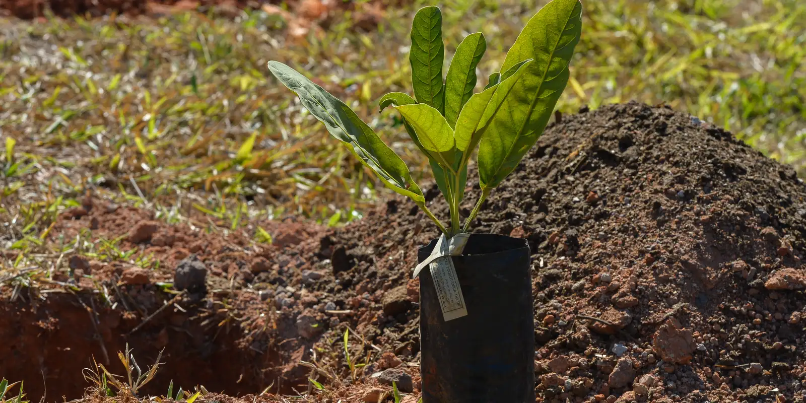 Sesi Lab inaugura espaço que abriga sistema agroecológico educativo