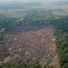 Amazônia registra queda de 35% nos alertas de desmatamento em junho