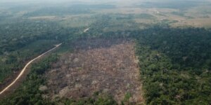 amazonia-registra-queda-de-35%-nos-alertas-de-desmatamento-em-junho
