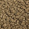 El Niño: entenda o fenômeno que intensifica os fenômenos climáticos