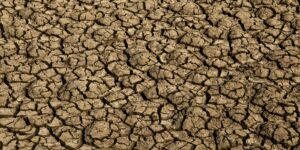 el nino:-entenda-o-fenomeno-que-intensifica-os-fenomenos-climaticos