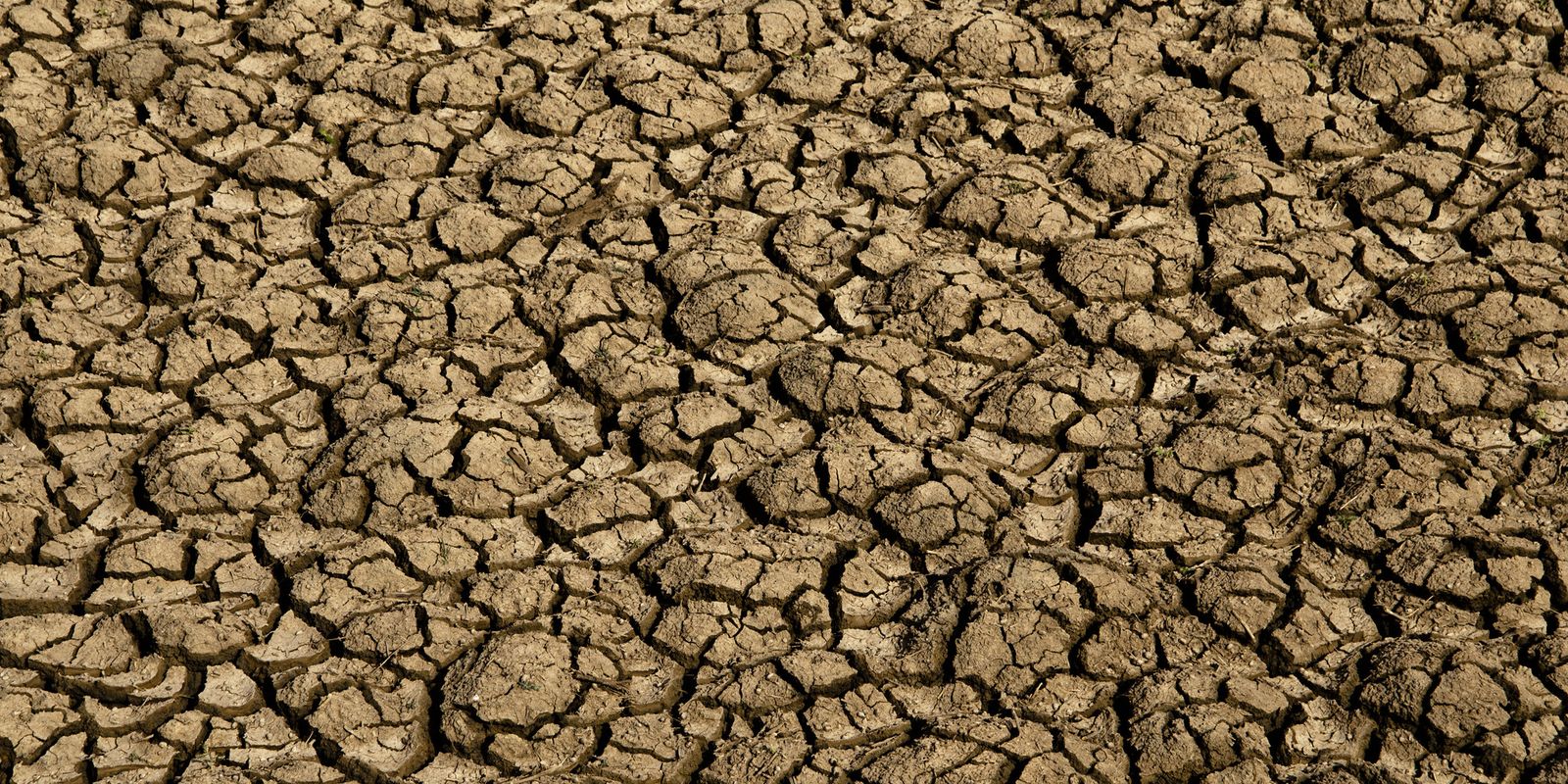 El Niño: entenda o fenômeno que intensifica os fenômenos climáticos