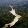 Viva Maria: uma mulher na linha de frente pela Amazônia