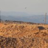 Pesquisa busca otimizar produção de biogás em aterros sanitários
