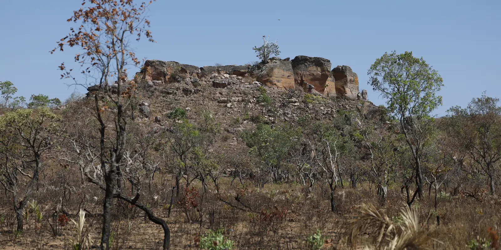 Terras indígenas representam preservação e cultura para o Cerrado