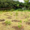 ECA Ambiental garante direito de acesso de jovens a áreas verdes