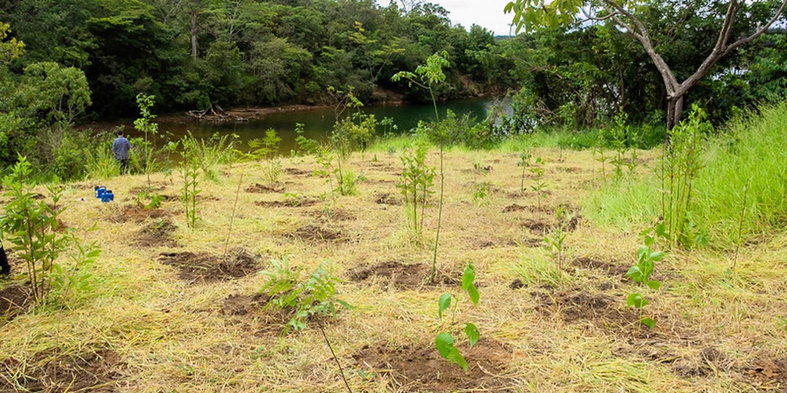 ECA Ambiental garante direito de acesso de jovens a áreas verdes