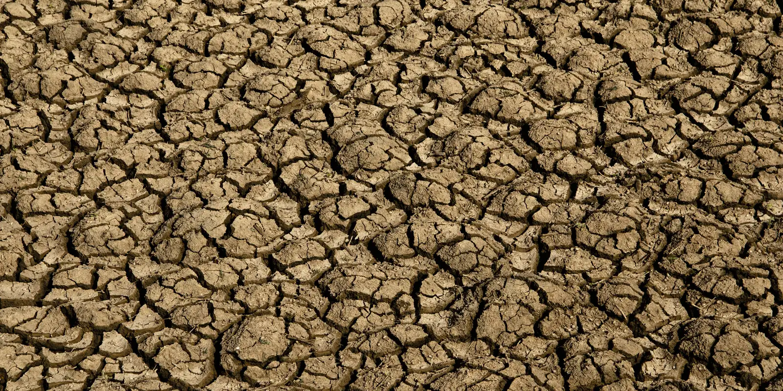 Seca provoca situação de emergência em 123 cidades do RN