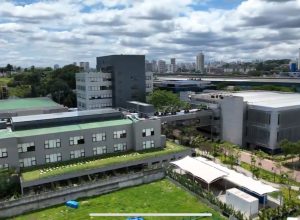 disputa-entre-j&f-e-paper-excellence-e-encerrada-no-cade-sem-sancoes