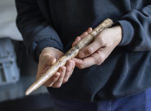 estudo-revela-armas-de-20-mil-anos-feitas-com-ossos-de-baleia