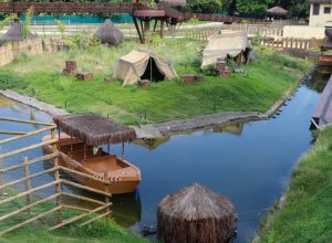 mapa-confirma-gripe-aviaria-em-aves-mortas-no-bioparque-do-rio