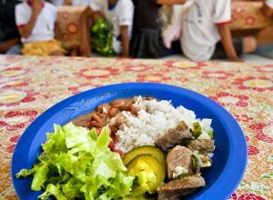 camara-aprova-projeto-de-compra-de-alimentos-para-merenda-escolar