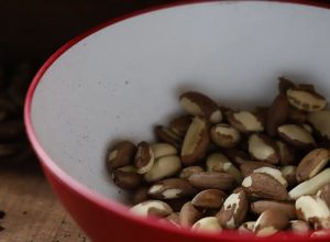 agricultura-familiar-do-nordeste-vai-a-maior-feira-mundial-alimentos