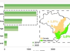 ibge-revisa-limites-de-cerrado-e-mata-atlantica-entre-minas-e-sp