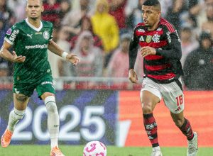 palmeiras-e-flamengo-decidem-1o-tetra-brasileiro-na-libertadores