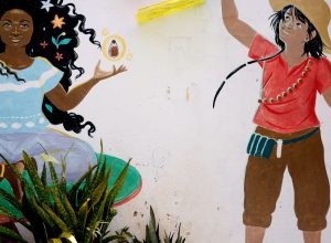 museu-das-amazonias-promove-atividades-sobre-a-cultura-do-norte