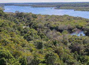 plano-para-biodiversidade-preve-criacao-de-unidades-de-conservacao