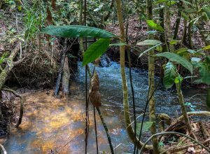 disponibilidade-de-agua-renovavel-no-mundo-caiu-7%-em-10-anos