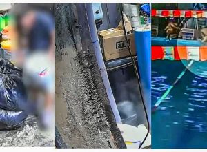 sp:-policia-indicia-3-socios-de-academia-da-zona-leste-por-homicidio