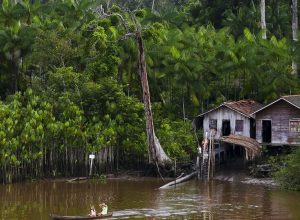 projeto-leva-tratamento-gratuito-a-doencas-negligenciadas-no-amazonas