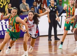 basquete-feminino:-tv-brasil-transmite-neste-domingo-semifinal-da-lbf 