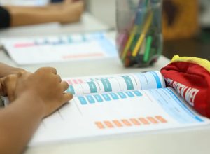 censo-escolar-2026:-dados-da-1a-etapa-podem-ser-conferidos-ate-dia-11