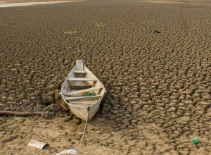 dia-da-amazonia-e-celebrado-com-el-nino-e-alerta-de-seca-intensa